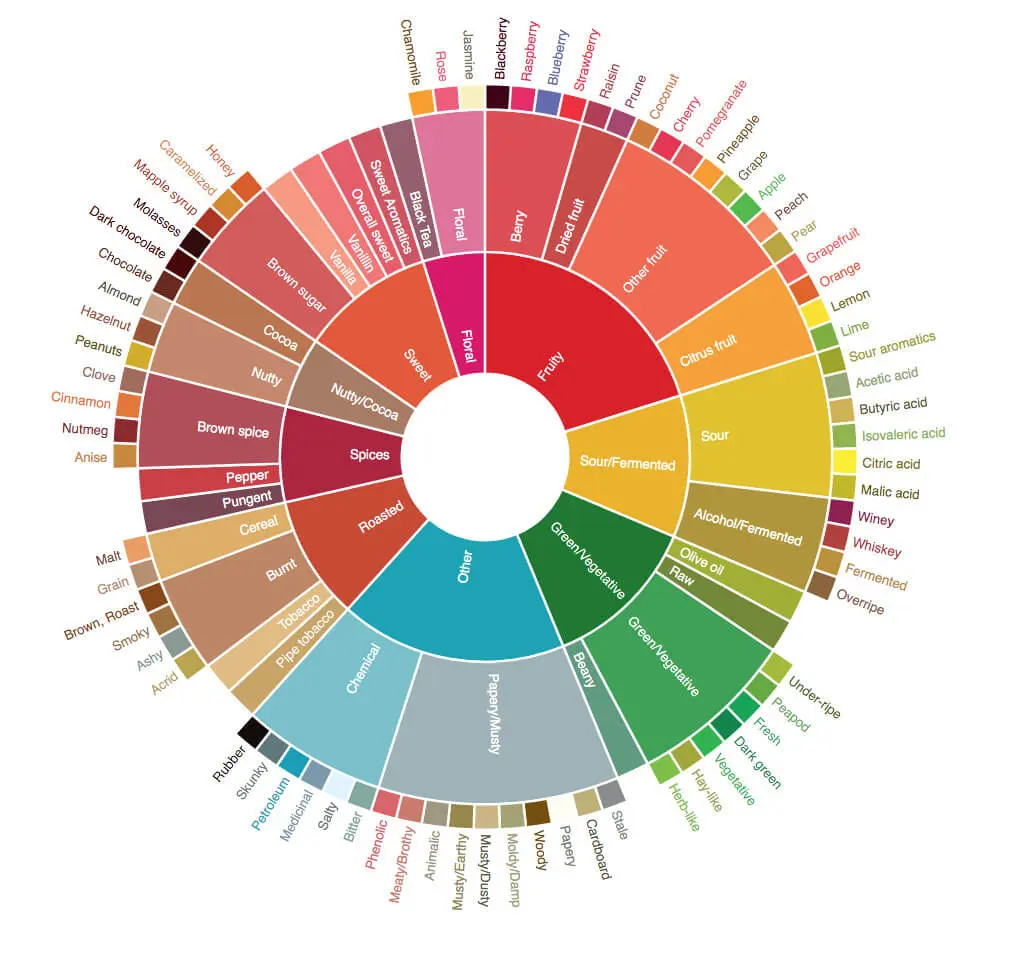 Roue des arômes du café