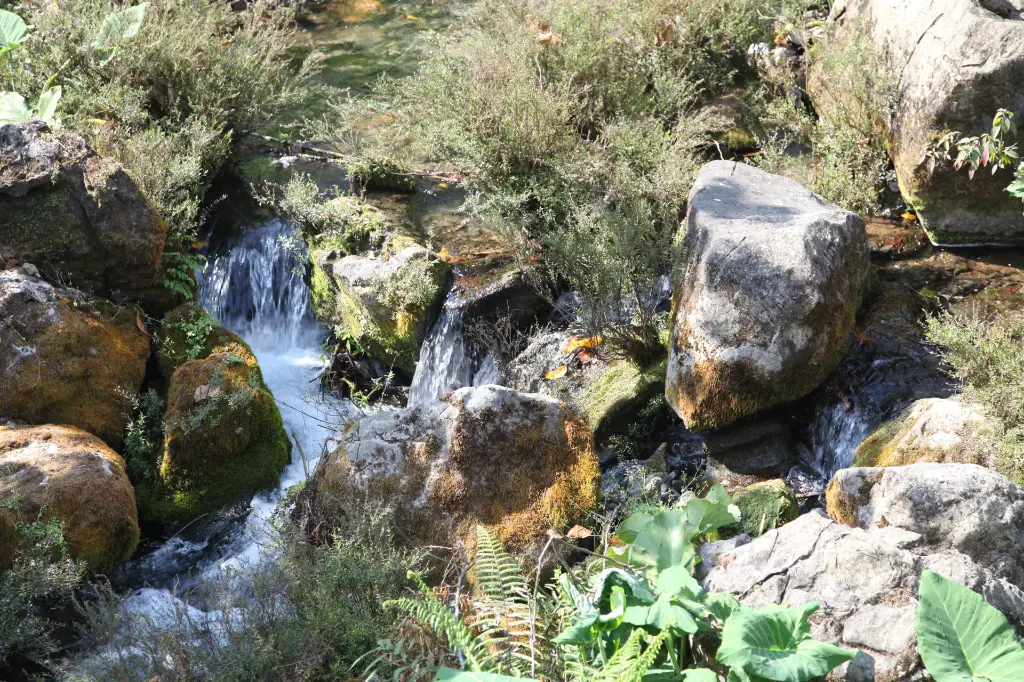 Terroir mochilita.webp